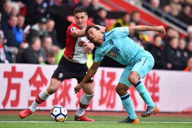 年来的战绩 年来的战绩